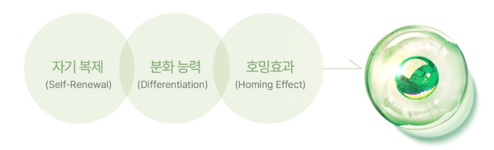 줄기세포 지방이식